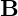 \mathbf{B}