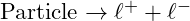 \text{Particle} \rightarrow \ell^+ + \ell^-