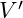 V'