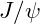 J/\psi