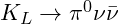 K_L \rightarrow \pi^0 \nu \bar{\nu}