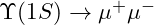 \Upsilon(1S) \rightarrow \mu^+ \mu^-