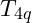 T_{4q}