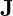 \mathbf{J}