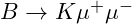 B \rightarrow K \mu^+ \mu^-